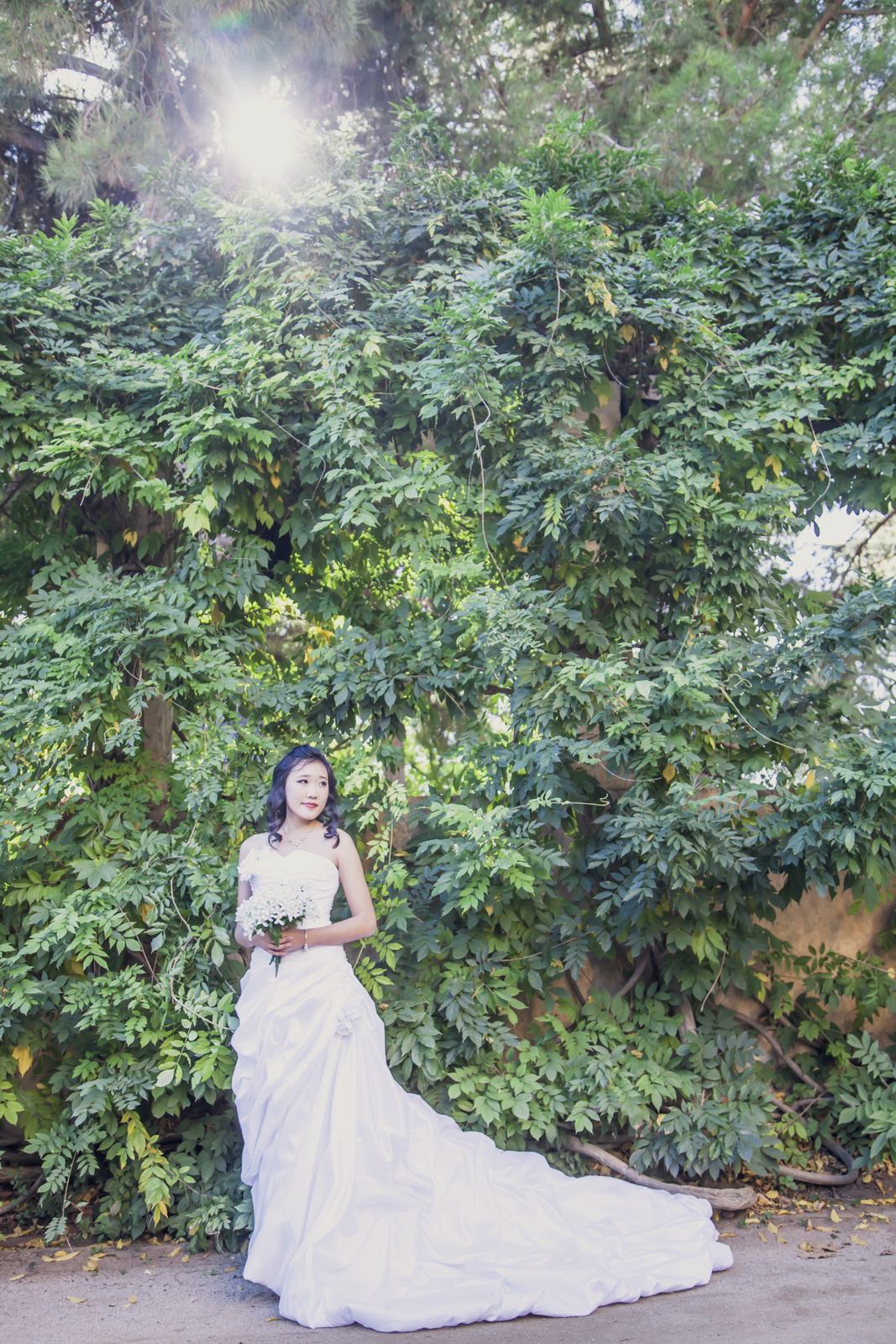 迷宫花园婚纱照 - 巴塞罗那